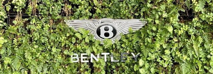 Bentley logo against green foliage