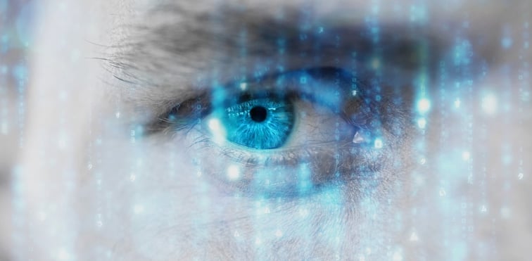 Multilingual Digital Humans